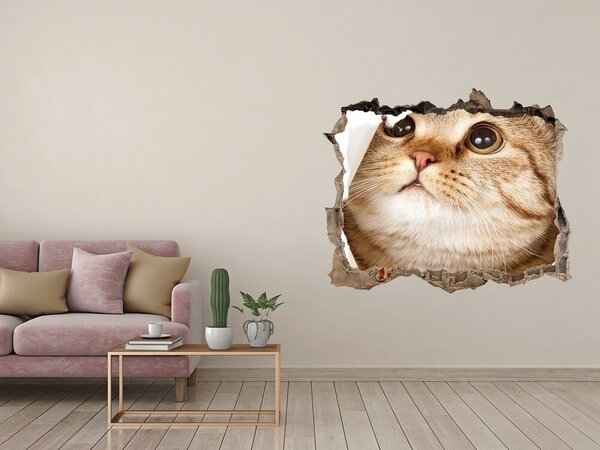 Díra 3D fototapeta na stěnu nálepka Kočka nd-k-52539481