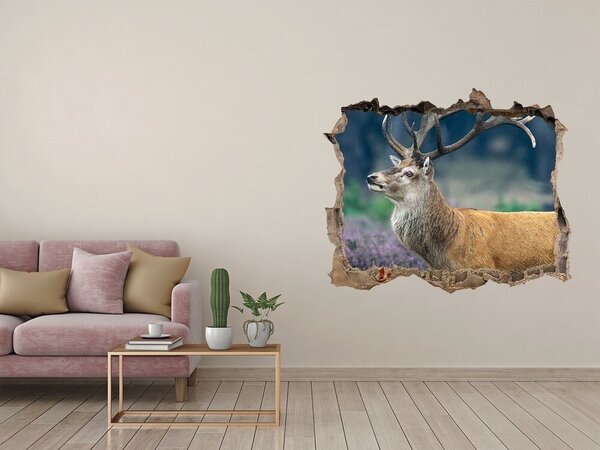 Fototapeta díra na zeď Jelen mezi levandulí nd-k-52700741