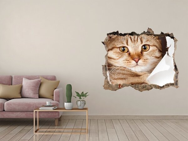 Díra 3D fototapeta na stěnu nálepka Kočka nd-k-52539512
