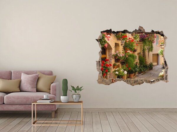 Fototapeta díra na zeď 3D Romantická ulička nd-k-53374967