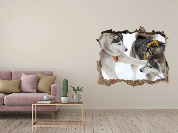 Díra 3D fototapeta na stěnu Hasky zima nd-k-56011790