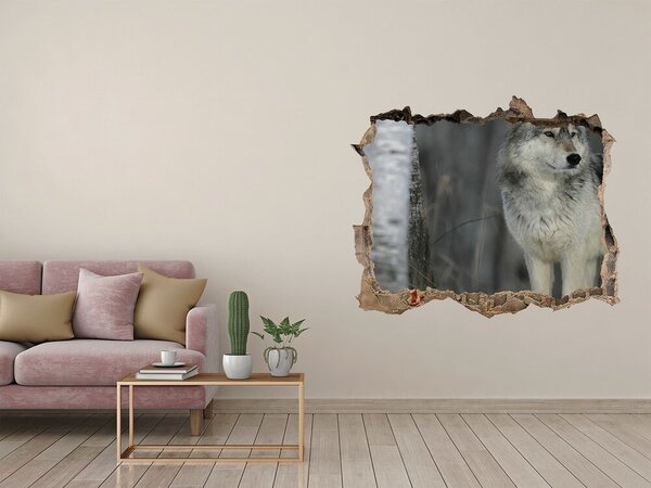 Díra 3D fototapeta na stěnu Šedý vlk nd-k-57875164