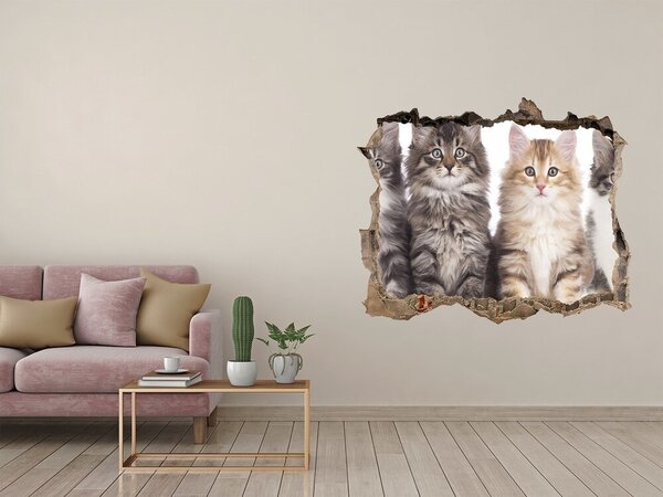Díra 3D fototapeta nálepka Šest koček nd-k-57635875