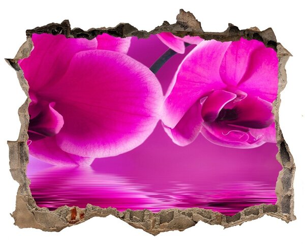 Samolepící díra nálepka Orchidej nd-k-58002130