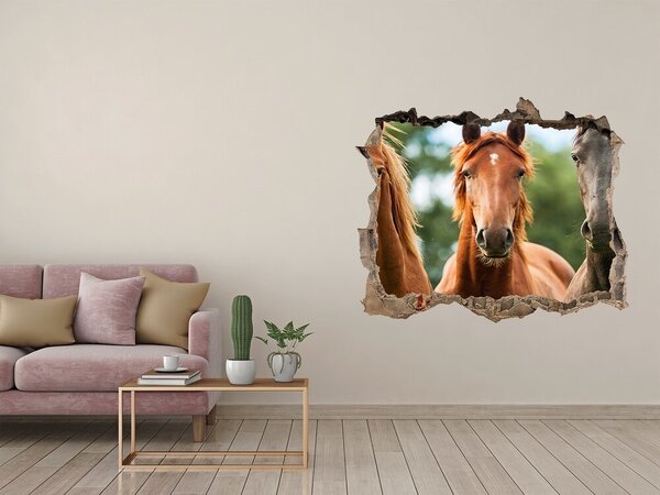 Díra 3D fototapeta na stěnu Tři koně nd-k-58776709