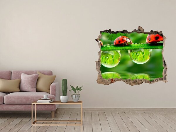 Díra 3D fototapeta na stěnu Berušky deštníky nd-k-58636971
