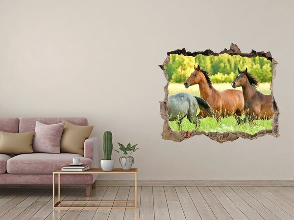 Díra 3D fototapeta nálepka Koně ve cvalu nd-k-58845191