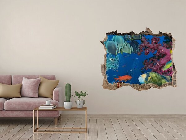 Díra 3D fototapeta na stěnu Korálový útes nd-k-64308436