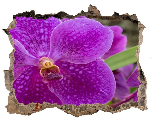 Samolepící díra nálepka Orchidej nd-k-64607986