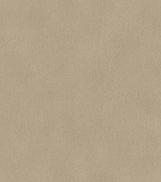 RASCH | Vliesová tapeta na zeď African Queen 751055 | 0,53 x 10,05 m | hnědá