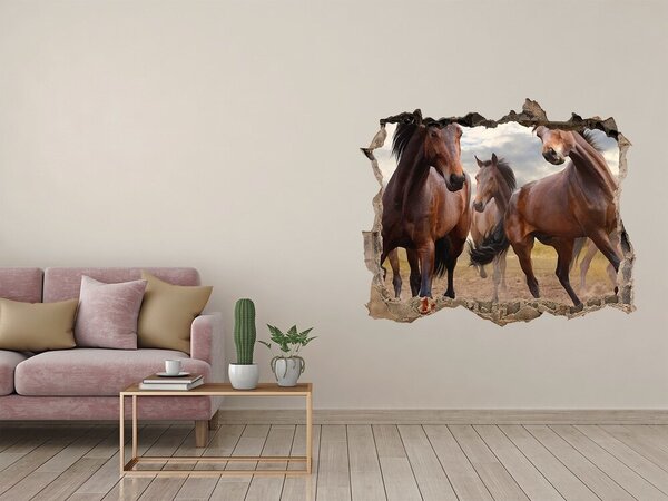 Díra 3D fototapeta na stěnu Pět koní nd-k-65000408