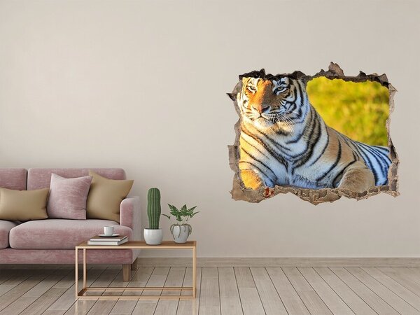 Díra 3D fototapeta nálepka Portrét tygra nd-k-65114965