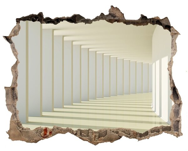 Fototapeta díra na zeď 3D nálepka Chodba nd-k-65321842
