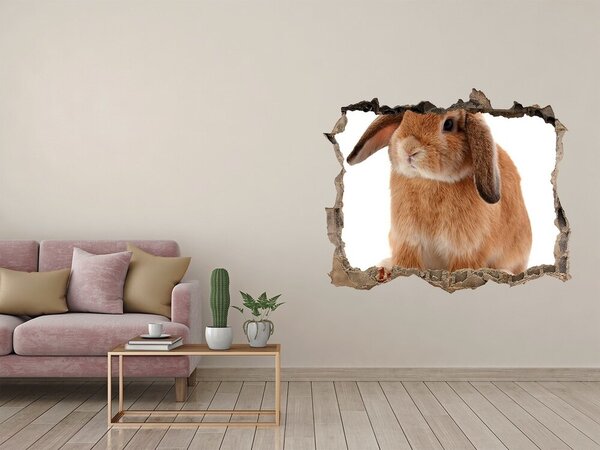 Díra 3D fototapeta nálepka Červený králík nd-k-65984756