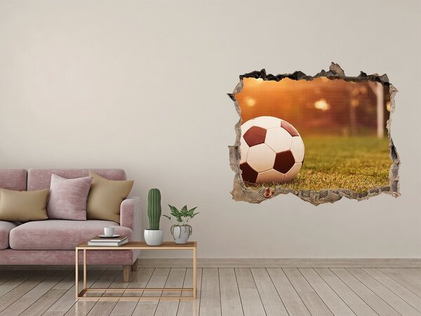 Fototapeta díra na zeď 3D Míč na hřišti nd-k-66115658