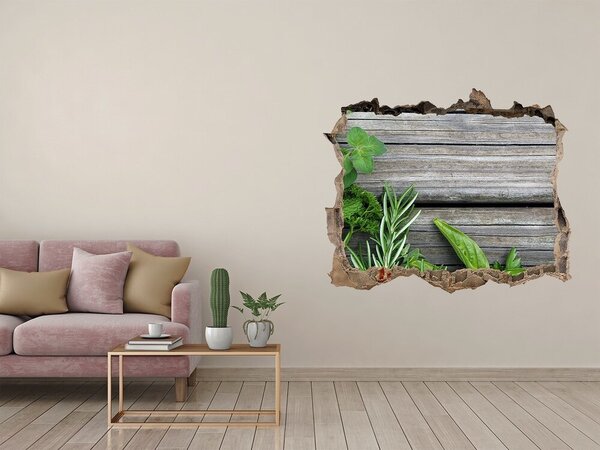 Fototapeta díra na zeď Dřevěné pozadí bylinky nd-k-67467429