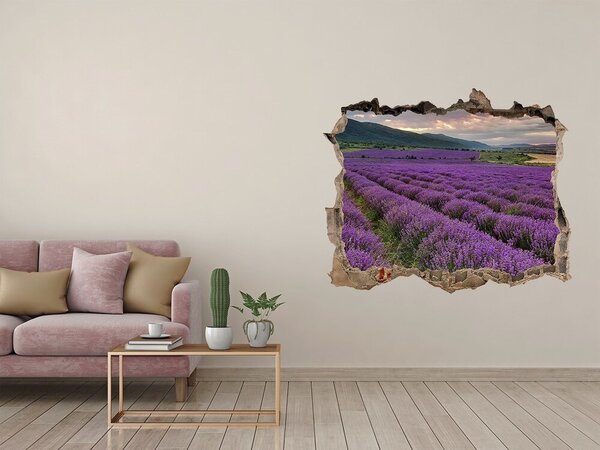 Nálepka fototapeta 3D výhled Pole levandule nd-k-67657523