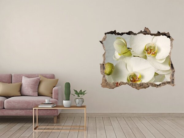 Samolepící díra nálepka Bílá orchidej nd-k-67521473