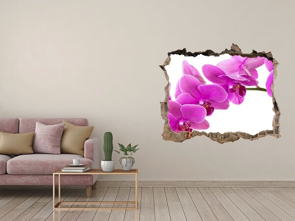 Samolepící díra nálepka Růžová orchidej nd-k-67691978