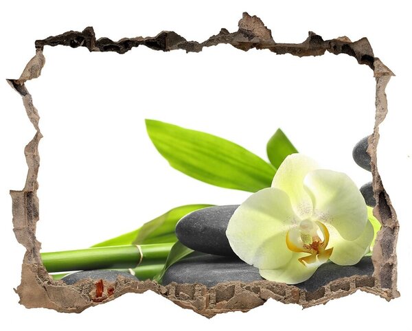 Samolepící díra nálepka Orchidej nd-k-68592259