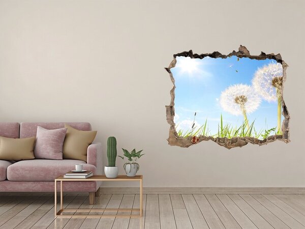 Fototapeta díra na zeď Pampelišky nd-k-68283962
