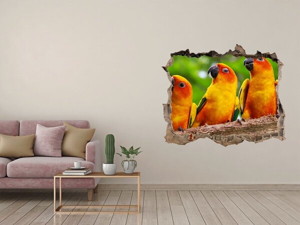 Díra 3D fototapeta nálepka Papošci na větvi nd-k-68805637