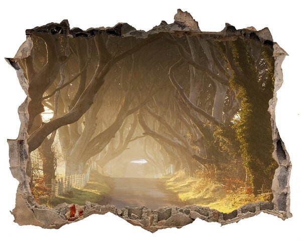 Nálepka fototapeta 3D výhled Mlha v lese nd-k-68778372