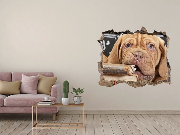 Díra 3D fototapeta Pes kouše knížku nd-k-69378395