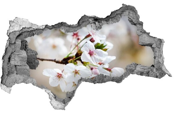 Samolepící nálepka na zeď Květy višně nd-b-100965392