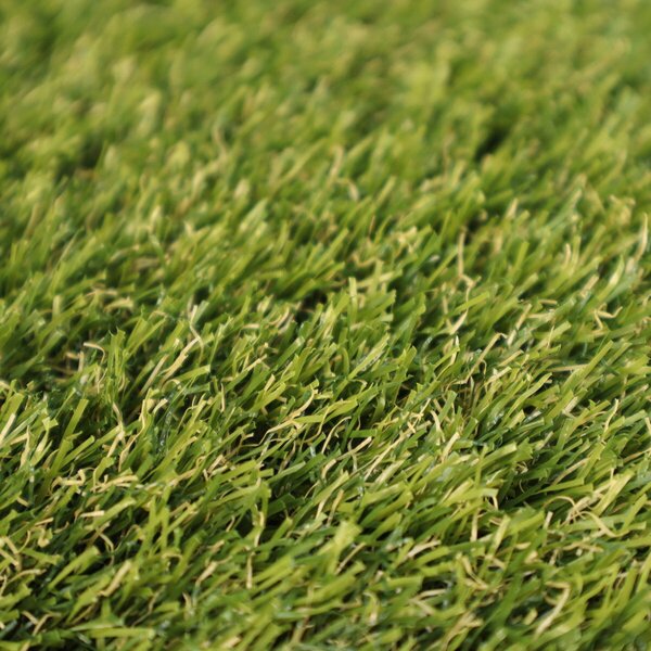 Europe Grass, Umělá tráva Botanic kruh, 200x200 (průměr) kruh, zelená, exteriér