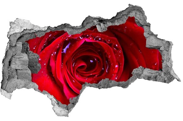 Samolepící nálepka na zeď Květ růží nd-b-100979783