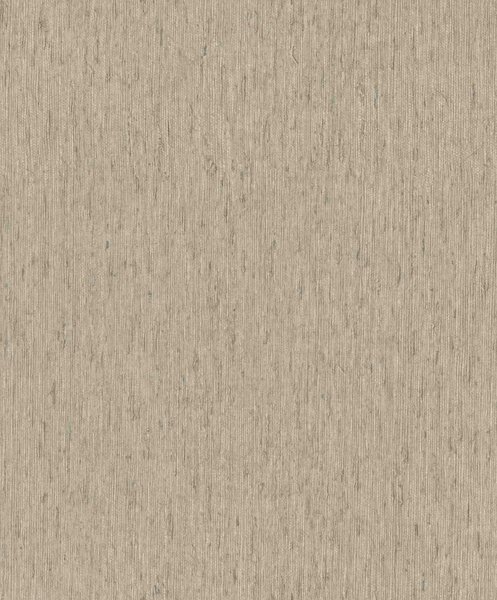 RASCH | Vliesová tapeta na zeď Back to Nature 571059 | 0,53 x 10,05 m | hnědá, šedá