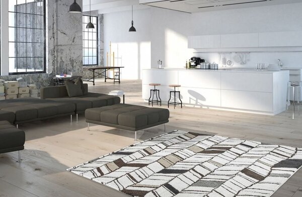 Obsession, AKCE: 80x150 cm Kusový koberec SOHO 841 WHITE, bílá, šedá, obývací pokoj
