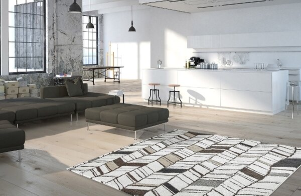 Obsession, AKCE: 80x150 cm Kusový koberec SOHO 841 WHITE, bílá, šedá, obývací pokoj