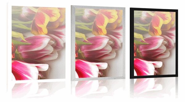 Plakát kytice barevných tulipánů