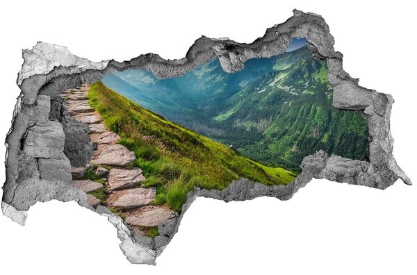 Díra 3D ve zdi nálepka Stezka v Tatrách nd-b-108007408