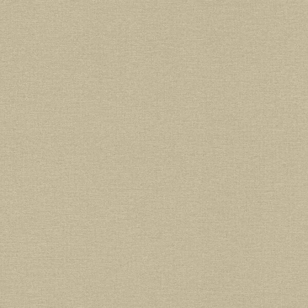 RASCH | Vliesová tapeta na zeď Country Charme 449815 | 0,53 x 10,05 m | šedá, béžová