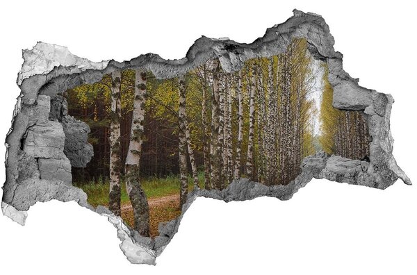 Díra 3D ve zdi nálepka Alej bříz nd-b-111097387