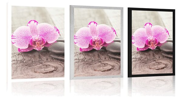 Plakát s paspartou orchidej a Zen kameny na dřevěném podkladu