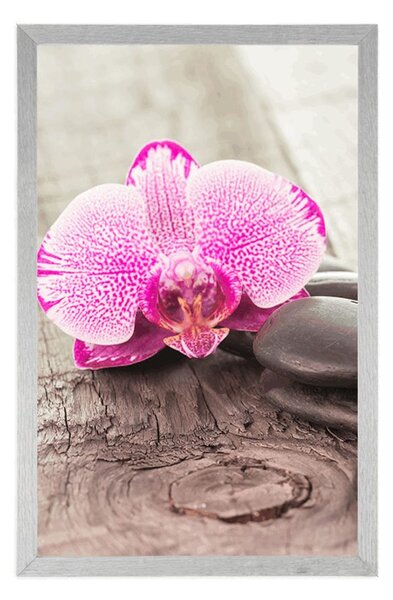 Plakát s paspartou orchidej a Zen kameny na dřevěném podkladu