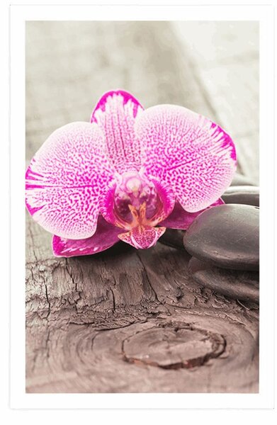 Plakát s paspartou orchidej a Zen kameny na dřevěném podkladu