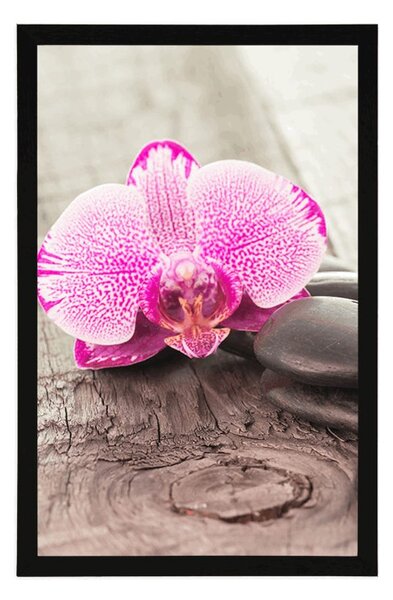 Plakát s paspartou orchidej a Zen kameny na dřevěném podkladu