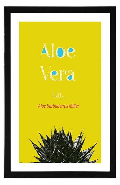 Plakát s paspartou zázračná Aloe Vera