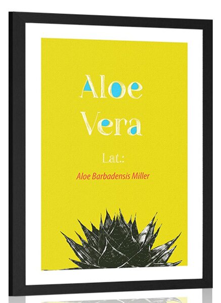 Plakát s paspartou zázračná Aloe Vera