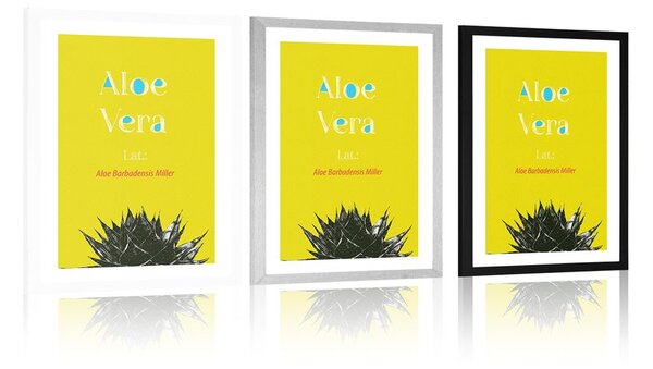 Plakát s paspartou zázračná Aloe Vera