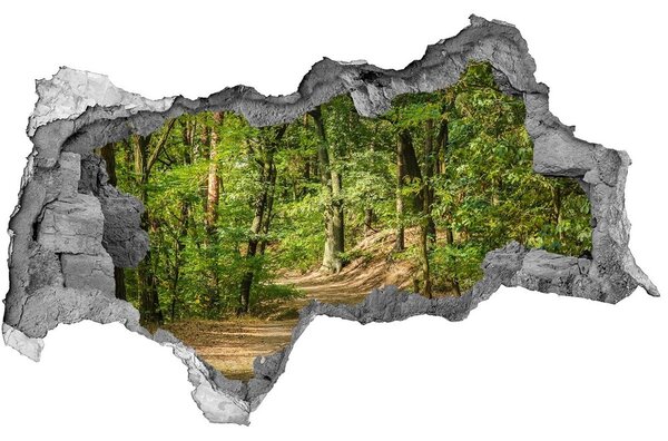 Díra 3D ve zdi nálepka Lesní stezka nd-b-122510819