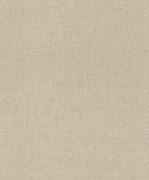 RASCH | Vliesová tapeta na zeď Florentine 484540 | 0,53 x 10,05 m | hnědá, béžová