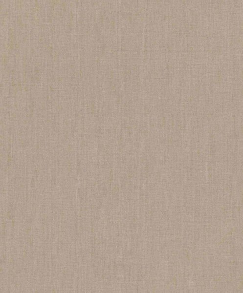 RASCH | Vliesová tapeta na zeď Florentine 484656 | 0,53 x 10,05 m | hnědá