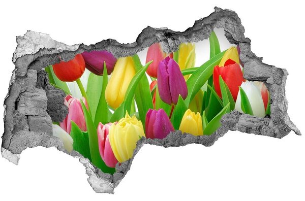 Samolepící nálepka na zeď Barevné tulipány nd-b-12652067