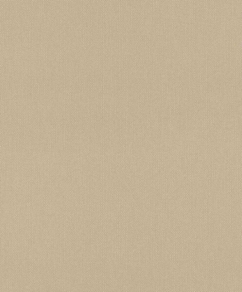 RASCH | Vliesová tapeta na zeď Deco Style 312416 | 0,53 x 10,05 m | hnědá